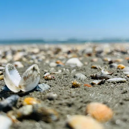 Apartamento Panoramis By Eduard