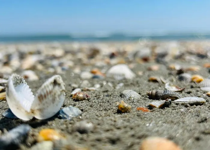 Апартаменты Panoramis By Eduard